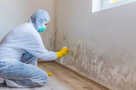 Why You Should Choose Our Mold Remediation Services in Clifton Knolls Mill Creek, NY